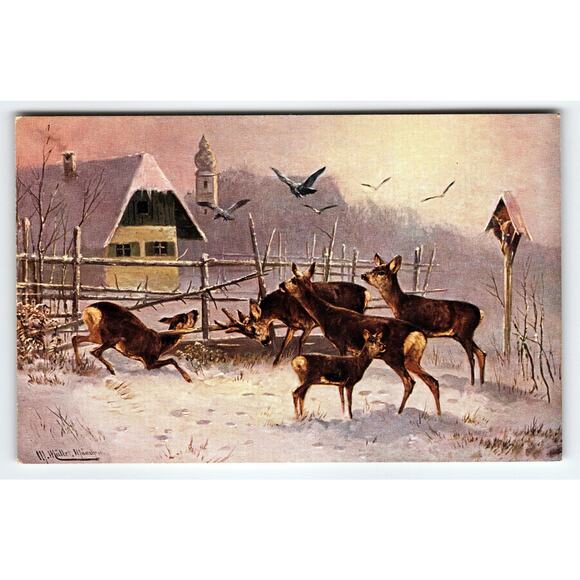 Signed Muller Vintage Artist Postcard Winter Deer Scene Printed in Germany - Picture 1 of 2